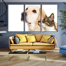 Load image into Gallery viewer, dog animal canvas wall art labrador dog and brown cat 3 piece multiple canvas white dog and cat pets canvas print For Living Room
