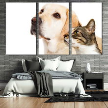 Load image into Gallery viewer, dog animal canvas wall art labrador dog and brown cat 3 piece multiple canvas white dog and cat pets canvas print For Bedroom
