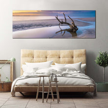 Load image into Gallery viewer, driftwood  beach  canvas  wall  art  ocean  beach  in  jekyll  island  panoramic  canvas  print  yellow  sky  ocean  wide  canvas  georgia  white  ocean  beach  canvas  artwork For Bedroom
