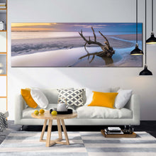 Load image into Gallery viewer, driftwood  beach  canvas  wall  art  ocean  beach  in  jekyll  island  panoramic  canvas  print  yellow  sky  ocean  wide  canvas  georgia  white  ocean  beach  canvas  artwork For Living Room
