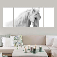 Load image into Gallery viewer, elegant  horse  canvas  print  white  grey  horse  portrait  3  piece  multi  canvas  horse  close  up  canvas  wall  art For Living Room
