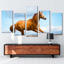 Load image into Gallery viewer, elegant horse canvas wall art blue sky chestnut horse side 5 piece canvas print brown horse gallop multi canvas artwork
