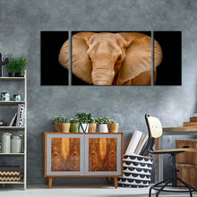 Load image into Gallery viewer, elephant  animal  canvas  wall  art  brown  elephant  art  print  elephant  close  up  multi  canvas  black  background  elephant  front  3  piece  canvas  set
