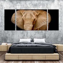 Load image into Gallery viewer, elephant  animal  canvas  wall  art  brown  elephant  art  print  elephant  close  up  multi  canvas  black  background  elephant  front  3  piece  canvas  set For Bedroom
