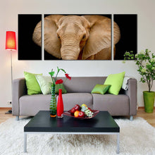 Load image into Gallery viewer, elephant  animal  canvas  wall  art  brown  elephant  art  print  elephant  close  up  multi  canvas  black  background  elephant  front  3  piece  canvas  set In Living Room
