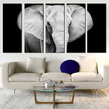 Load image into Gallery viewer, elephant animal canvas wall art grey elephant art print elephant black and white 5 piece canvas set elephant front multiple canvas For Living room
