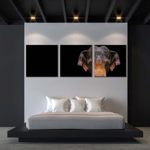 Load image into Gallery viewer, elephant  animal  canvas  wall  art  grey  elephant  close  canvas  print  isolated  elephant  3  piece  canvas  orange  elephant  front  canvas  set In Bedroom
