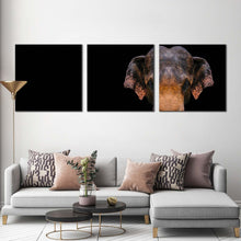 Load image into Gallery viewer, elephant  animal  canvas  wall  art  grey  elephant  close  canvas  print  isolated  elephant  3  piece  canvas  orange  elephant  front  canvas  set For Living Room
