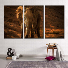 Load image into Gallery viewer, elephant animal canvas wall art orange brown elephant digital painting canvas print elephant front 3 piece multiple canvas
