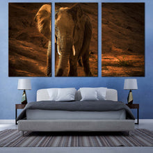 Load image into Gallery viewer, elephant animal canvas wall art orange brown elephant digital painting canvas print elephant front 3 piece multiple canvas For Bedroom
