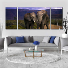 Load image into Gallery viewer, elephant  couple  canvas  wall  art  elephant  in  green  nature  scenery  3  piece  canvas  set  grey  elephant  couple  canvas  print For Living Room
