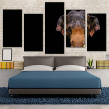 Load image into Gallery viewer, elephant front canvas print black background isolated elephant multiple canvas orange grey elephant close 5 piece canvas wall art In Bedroom
