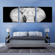 Load image into Gallery viewer, elephant  front  canvas  print  elephant  black  and  white  3  piece  multi  canvas  artwork  grey  isolated  elephant  canvas  wall  art For Bedroom
