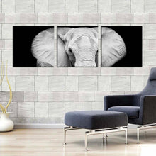 Load image into Gallery viewer, elephant  front  canvas  print  elephant  black  and  white  3  piece  multi  canvas  artwork  grey  isolated  elephant  canvas  wall  art For Living Room
