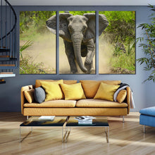 Load image into Gallery viewer, elephant front canvas print grey elephant running 3 piece canvas wall art green scenery elephant walking canvas set In Living Room
