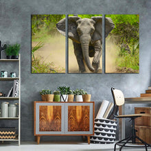 Load image into Gallery viewer, elephant front canvas print grey elephant running 3 piece canvas wall art green scenery elephant walking canvas set For Living Room
