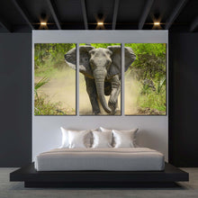 Load image into Gallery viewer, elephant front canvas print grey elephant running 3 piece canvas wall art green scenery elephant walking canvas set For Bedroom
