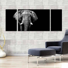 Load image into Gallery viewer, elephant  front  canvas  wall  art  black  and  white  elephant  animal  3  piece  canvas  set  grey  elephant  art  print In Living Room
