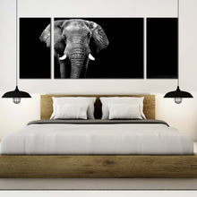 Load image into Gallery viewer, elephant  front  canvas  wall  art  black  and  white  elephant  animal  3  piece  canvas  set  grey  elephant  art  print For Bedroom
