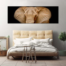 Load image into Gallery viewer, elephant  front  canvas  wall  art  black  background  isolated  elephant  1  piece  canvas  brown  elephant  close  up  canvas  print For Bedroom
