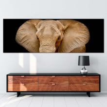 Load image into Gallery viewer, elephant  front  canvas  wall  art  black  background  isolated  elephant  1  piece  canvas  brown  elephant  close  up  canvas  print In Living Room
