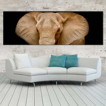 Load image into Gallery viewer, elephant  front  canvas  wall  art  black  background  isolated  elephant  1  piece  canvas  brown  elephant  close  up  canvas  print For Living Room
