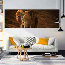 Load image into Gallery viewer, elephant  front  canvas  wall  art  brown  elephant  desert  art  print  orange  elephant  animal  1  piece  canvas  artwork For Living Room
