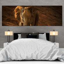 Load image into Gallery viewer, elephant  front  canvas  wall  art  brown  elephant  desert  art  print  orange  elephant  animal  1  piece  canvas  artwork For Bedroom
