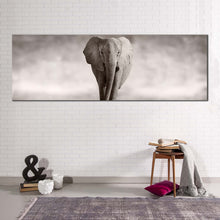 Load image into Gallery viewer, elephant  front  canvas  wall  art  elephant  black  and  white  1  piece  canvas  print  grey  elephant  portrait  canvas  artwork In Living Room
