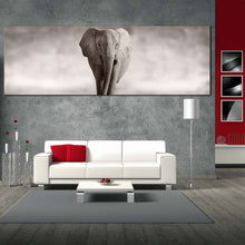 Load image into Gallery viewer, elephant  front  canvas  wall  art  elephant  black  and  white  1  piece  canvas  print  grey  elephant  portrait  canvas  artwork For Living Room
