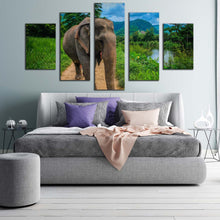 Load image into Gallery viewer, elephant front canvas wall art grey elephant landscape canvas print elephant green scenery 5 piece multiple canvas In Bedroom
