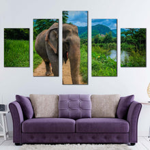 Load image into Gallery viewer, elephant front canvas wall art grey elephant landscape canvas print elephant green scenery 5 piece multiple canvas For Your Living Room
