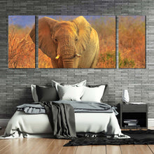 Load image into Gallery viewer, elephant  front  canvas  wall  art  grey  isolated  elephant  3  piece  canvas  print  elephant  in  orange  nature  triptych  canvas  set For Bedroom
