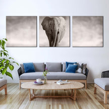 Load image into Gallery viewer, elephant  portrait  canvas  print  grey  elephant  animal  3  piece  canvas  wall  art  elephant  front  multi  canvas For Living Room
