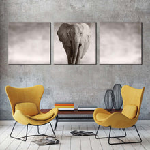 Load image into Gallery viewer, elephant  portrait  canvas  print  grey  elephant  animal  3  piece  canvas  wall  art  elephant  front  multi  canvas In Living Room
