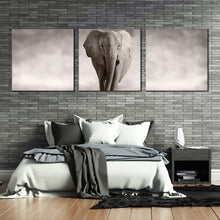 Load image into Gallery viewer, elephant  portrait  canvas  print  grey  elephant  animal  3  piece  canvas  wall  art  elephant  front  multi  canvas For Bedroom
