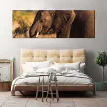 Load image into Gallery viewer, elephant  profile  canvas  wall  art  brown  elephant  smiling  panoramic  canvas  print  elephant  green  scenery  wide  canvas For Bedroom
