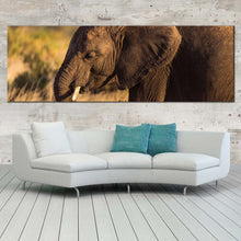 Load image into Gallery viewer, elephant  profile  canvas  wall  art  brown  elephant  smiling  panoramic  canvas  print  elephant  green  scenery  wide  canvas In Living Room
