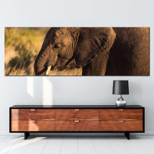 Load image into Gallery viewer, elephant  profile  canvas  wall  art  brown  elephant  smiling  panoramic  canvas  print  elephant  green  scenery  wide  canvas For Living Room
