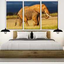 Load image into Gallery viewer, elephant profile canvas wall art elephant animal 3 piece canvas print orange grey african elephant triptych canvas set For Bedroom
