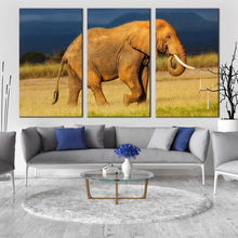 Load image into Gallery viewer, elephant profile canvas wall art elephant animal 3 piece canvas print orange grey african elephant triptych canvas set In Living Room
