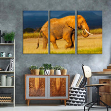 Load image into Gallery viewer, elephant profile canvas wall art elephant animal 3 piece canvas print orange grey african elephant triptych canvas set
