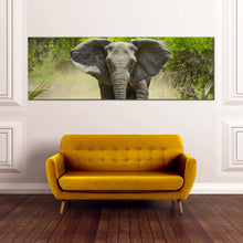 Load image into Gallery viewer, elephant  running  canvas  wall  art  grey  elephant  walking  1  piece  canvas  green  forest  elephant  canvas  print For Living Room
