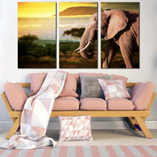 Load image into Gallery viewer, elephant scenery canvas wall art brown elephant profile 3 piece canvas set yellow sunset elephant art print In Living Room
