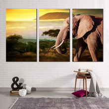 Load image into Gallery viewer, elephant scenery canvas wall art brown elephant profile 3 piece canvas set yellow sunset elephant art print
