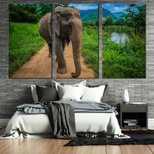 Load image into Gallery viewer, elephant scenery canvas wall art grey elephant smile 3 piece canvas print elephant in green nature multi canvas In Bedroom
