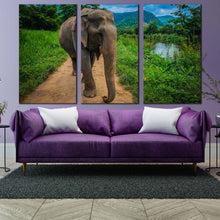 Load image into Gallery viewer, elephant scenery canvas wall art grey elephant smile 3 piece canvas print elephant in green nature multi canvas In Living room
