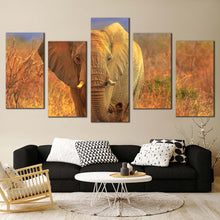 Load image into Gallery viewer, elephant scenery canvas wall art grey elephant walking 5 piece canvas print isolated elephant in orange nature multi canvas In Living Room
