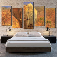 Load image into Gallery viewer, elephant scenery canvas wall art grey elephant walking 5 piece canvas print isolated elephant in orange nature multi canvas For Your Bedroom
