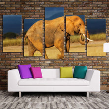 Load image into Gallery viewer, elephant scenery canvas wall art orange african elephant 5 piece multi canvas artwork elephant art print In Living Room
